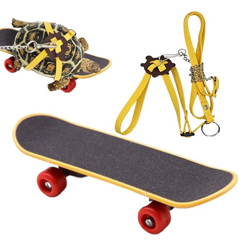 Tortoise rope and - rope,