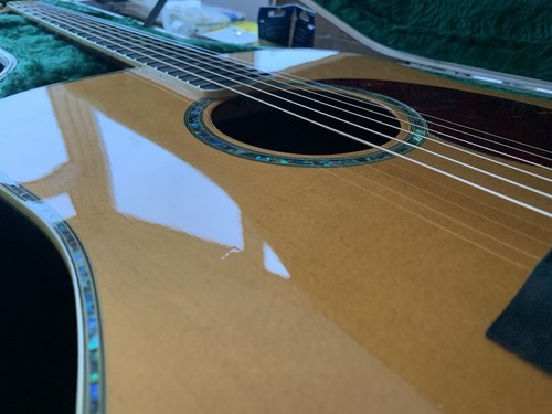 1999 vintage v1200n acoustic - vintage,