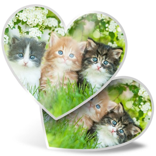 Heart stickers cm - stickers, 15