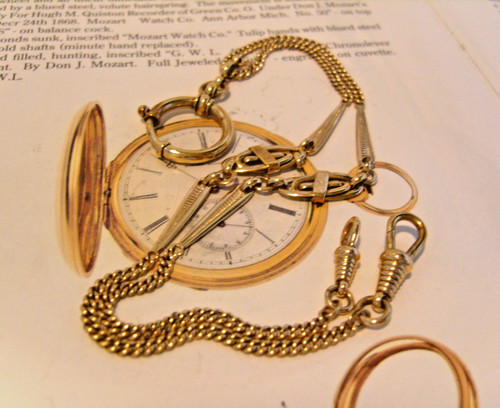 Pocket watch chain - chain, rose