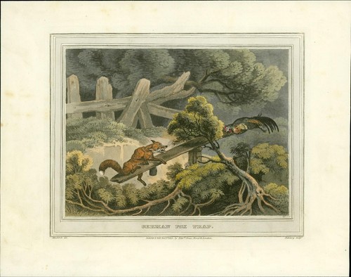 1814 field sports - sports, edition