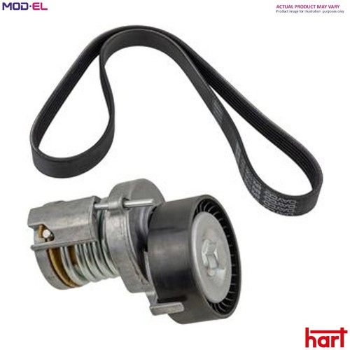 Belt tensioner vribbed - belt,