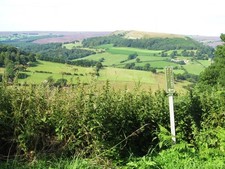 Photo A1 Public Bridleway sign at Peak Scar Top Murton Grange/SE5388 He c2015