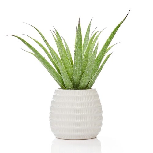 Artificial flowers plant pots - flowers,