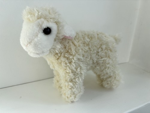 Living nature baby lamb sheep - baby,