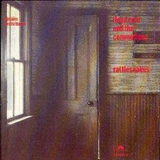 Lloyd Cole and The Commotions