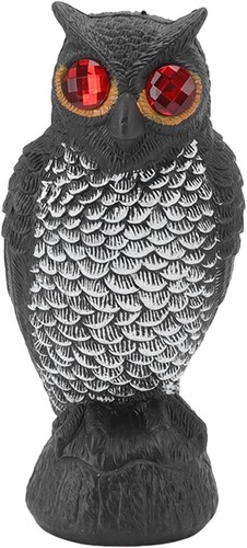 Moumouten owl bird - moumouten, deterrent