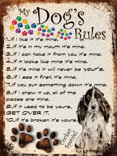Dog rules retro style - dog's,