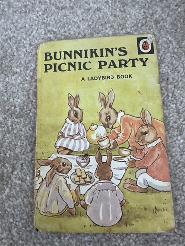 Bubbikin picnic party - picnic,