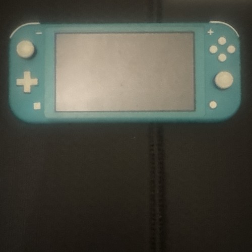 Broken nintendo switch lite - broken,
