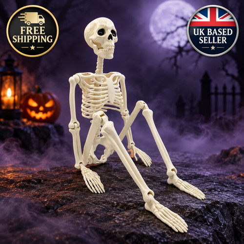 Halloween decorations - halloween,