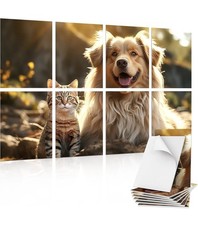 Cat dog tonor pack art - cat,