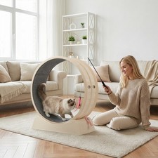 Large Cat Exercise Wheel