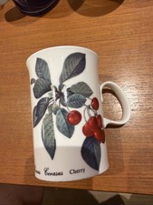 Dunoon Fine Bone China Made In