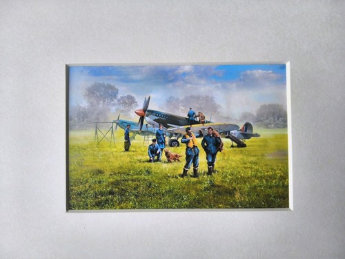 Raf pilots battle britain - battle, of