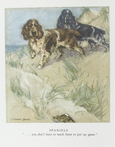 Old vintage print - old,