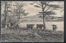 Scotland Postcard - Stranraer