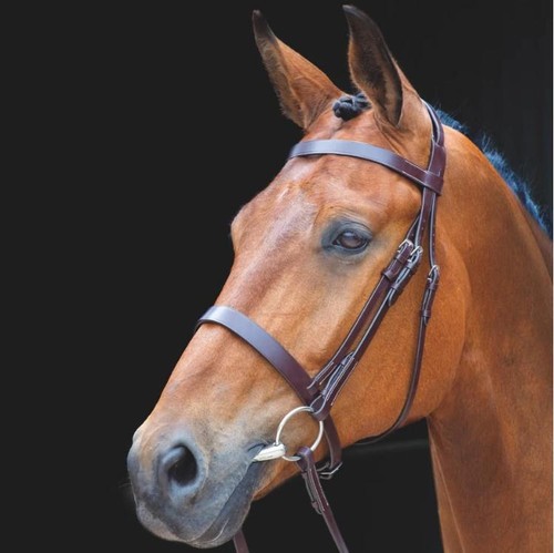 Shires salisbury berrington - shires,
