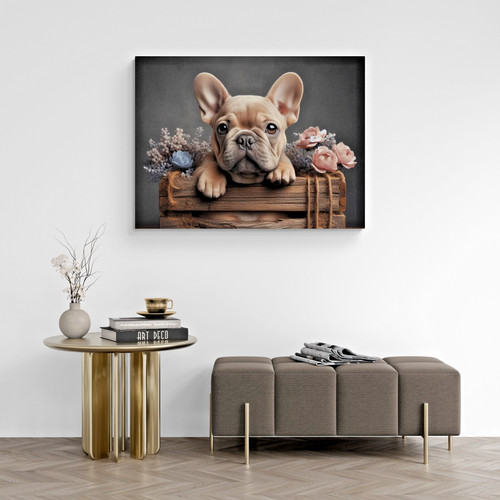 French bull dog cute - french,