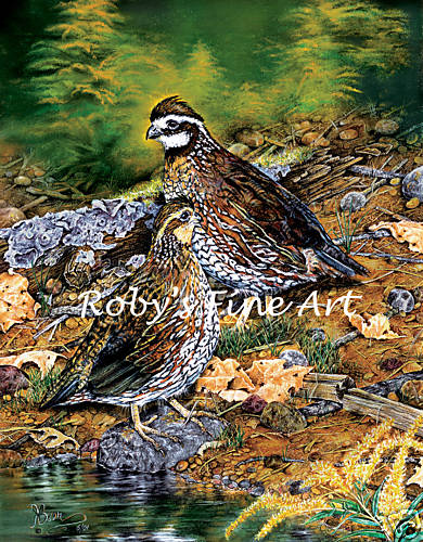 Bobwhite quail art - bobwhite,