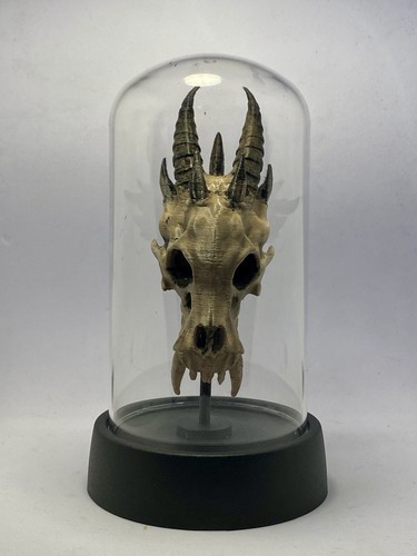 Horned demon skull - display, |