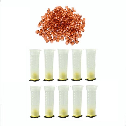 Queen rearing system the cage - rearing,