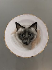Vintage Siamese Cat, Bone