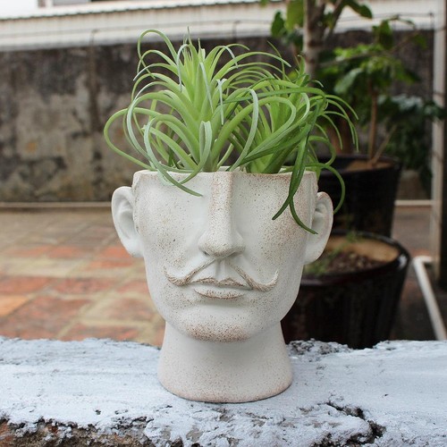 Human face flower - flower, pot
