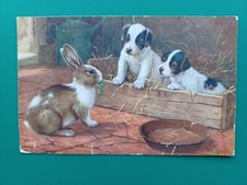 1913 PC by B. COBBE FOX TERRIER PUPPIES & RABBIT EATING GREENS - RAPHAEL TUCK