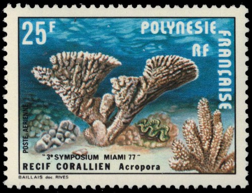 French polynesia c145 - c145,