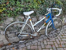 Raleigh Team Ladies Bike -