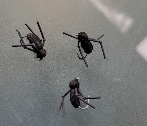 Barbless foam beetle - #14,