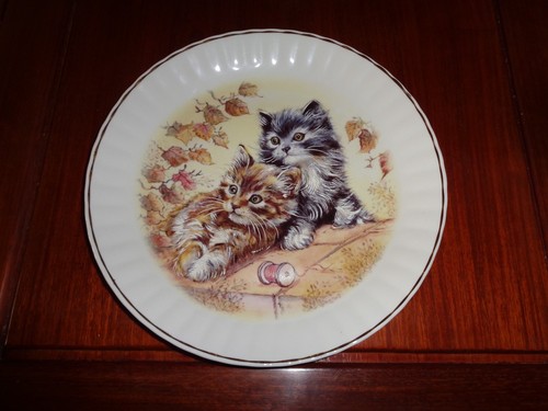 Named collectors plate - collectors,