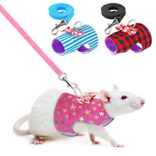 Small Animal Harness w/Leash