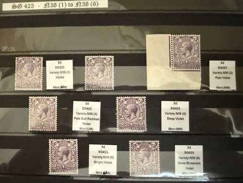 Kgv sg423 violet - 3d, shades