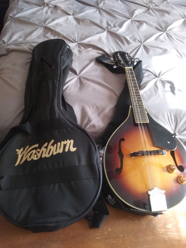 Washburn madolin with - madolin,
