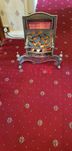 Electric fire berry - berry's, original
