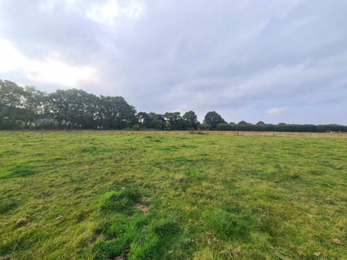 Plot land for - plot,