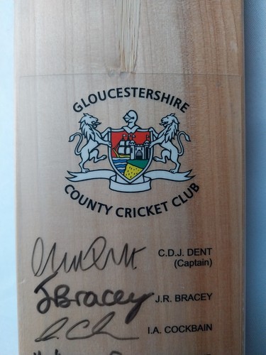 Gloucestershire county cricket - gloucestershire,