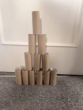 12 Empty Toilet Roll Tubes -