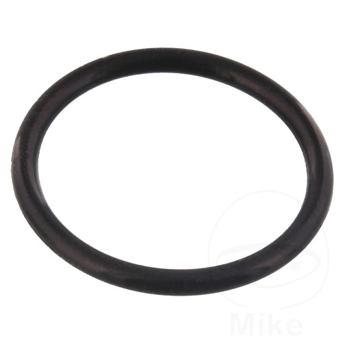 Genuine oem cam chain - oem,