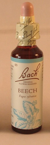 Bach flower remedies beech - flower,