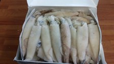 6 x 5lb Box of Calimari Squid
