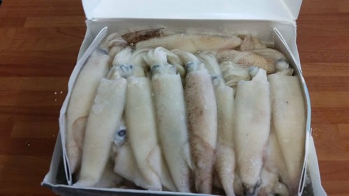 5lb box calimari squid - 6,