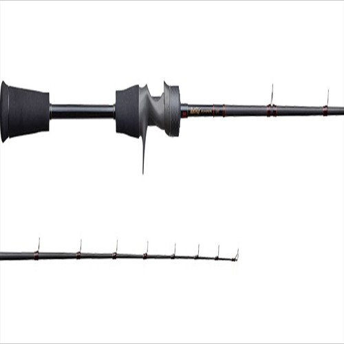 Tenryu baitcasting rod - tenryu,