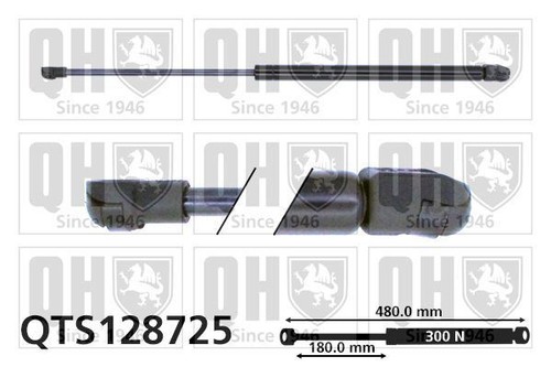 Fits lupo bonnet - fits,