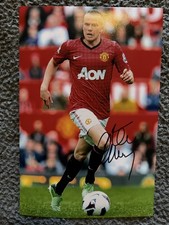 Manchester United = Hand signed 12 x 8" photo of Tom Cleverley
