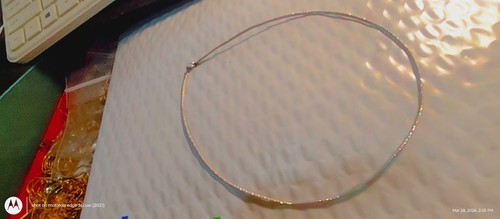 10k yellow gold snake - yellow, chain