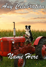 nai41 Border Collie Tractor