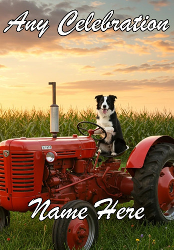 Nai41 border collie tractor - collie,